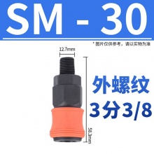 SM30